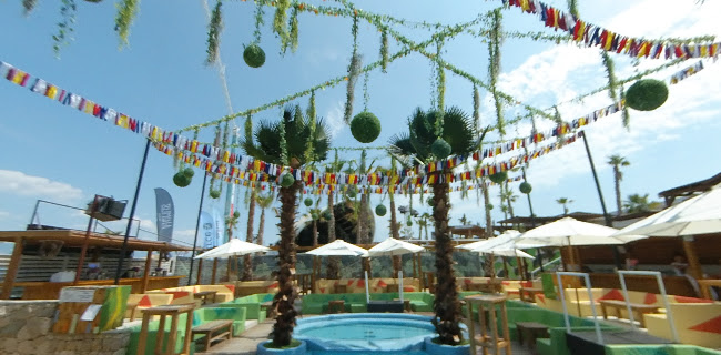 Papaya Club
