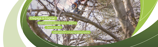 S.Feltain - Nercillac - Thumbnail
