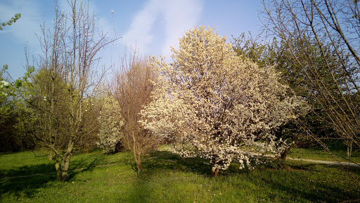 Parco Maggiolino