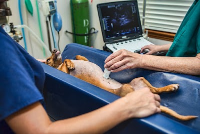 Photos of Sandy Animal Clinic