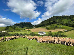 Photo n°2 de Ferme Salthun - Argui’Bêl à Montory (Ferme)
