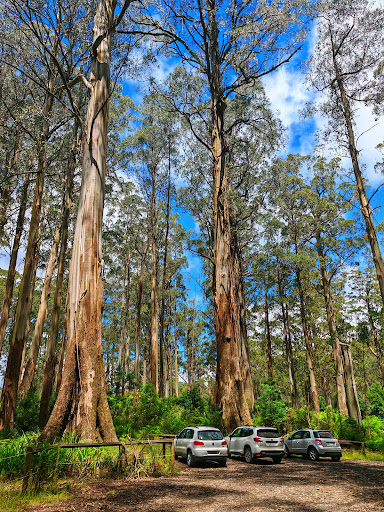 Monda Carpark