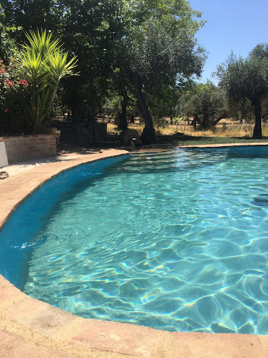 Casa rural Los Almendros - Thumbnail