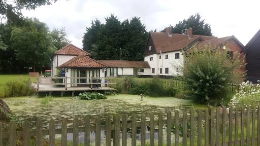 Waterloo Place & Waterloo Cottage - Thumbnail