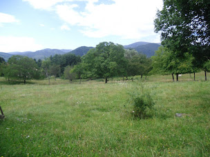 Photo n°6 de Gîte le Durrenbach à Lautenbach (Gîte)
