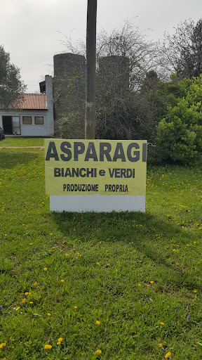 Rivendita asparagi e fragole di Sain Claudio - Thumbnail