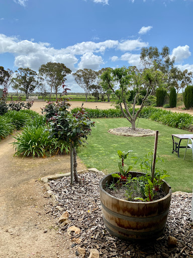 Vineyard Road Cellar Door - Thumbnail