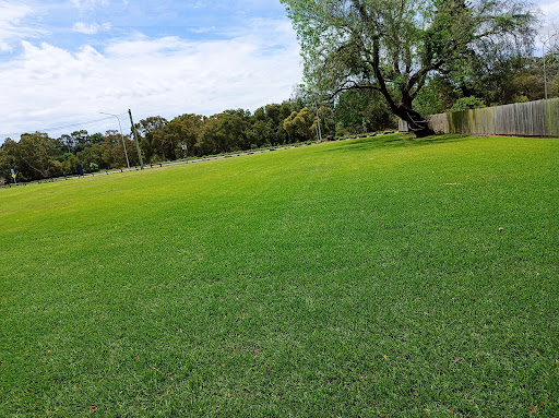Robin Thomas Reserve Logo