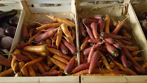 Photo n°5 de Ferme Biologique des Chabannes à Mensignac (Ferme)