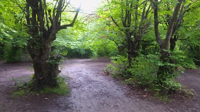 Photos of Naharkhoran Park
