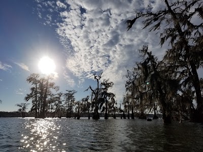 Lake Martin, LA