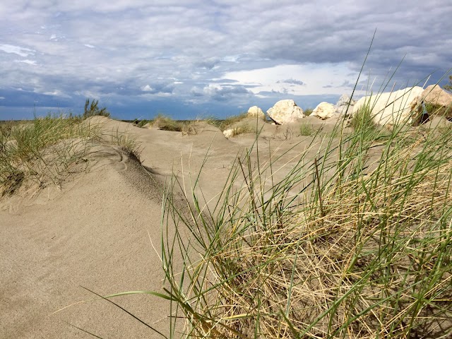 Plage de Beauduc