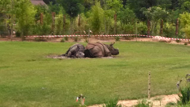 Zoo de La Flèche