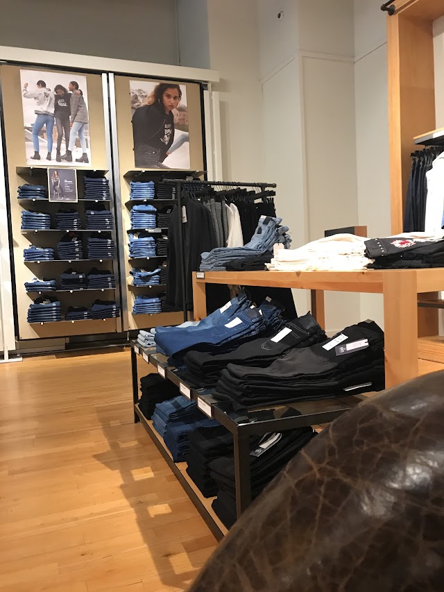 Levi's Store Michigan Ave