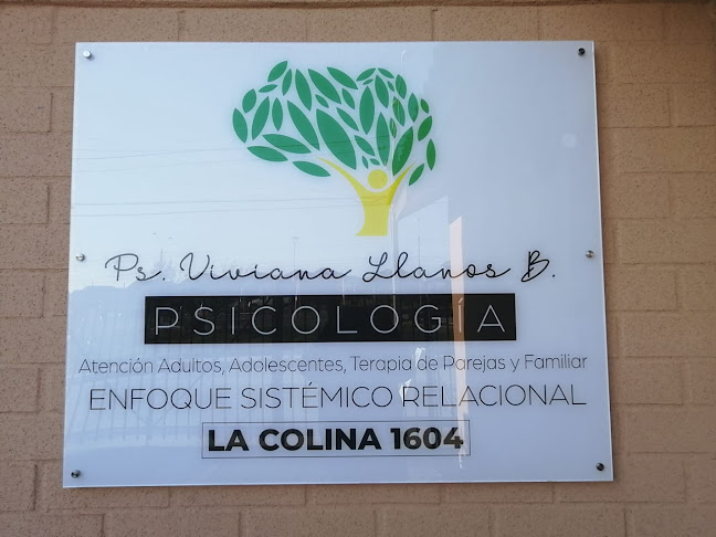 Ps. Viviana Cecilia Llanos Briceño, Psicólogo - Psicólogo