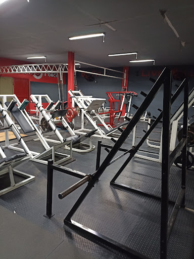 GYM FULL FORCE - Visual