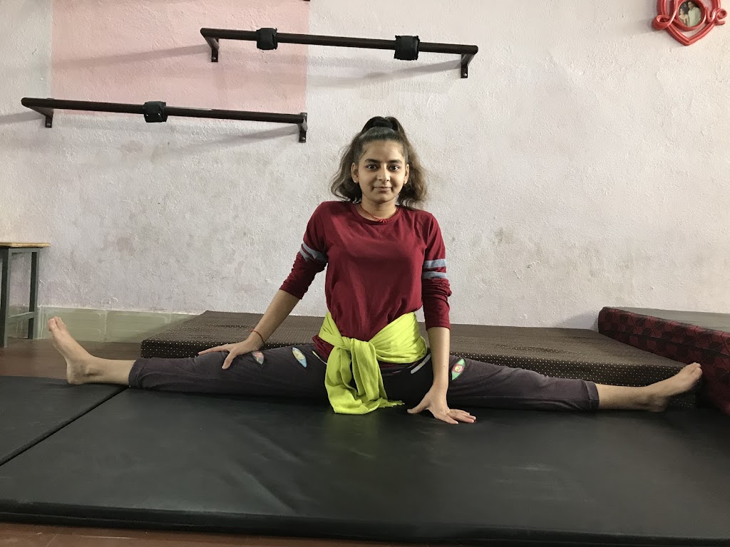 Fly High Gymnastics Institute