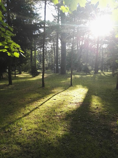 Photos of Interactive Lithuanian fairy tale park