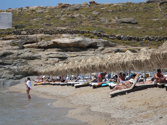 Lia Beach