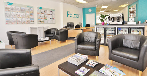 Falcon Properties - Visual