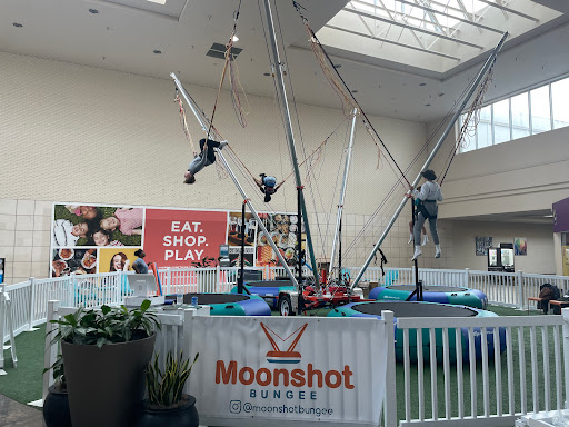 Moonshot Bungee - Visual