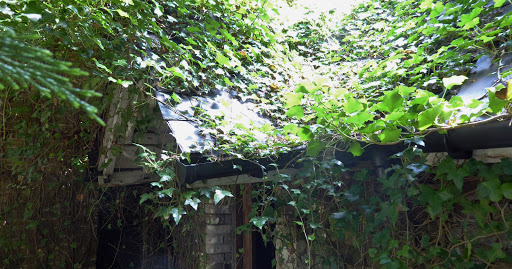 Cane Hill North Lodge - Thumbnail