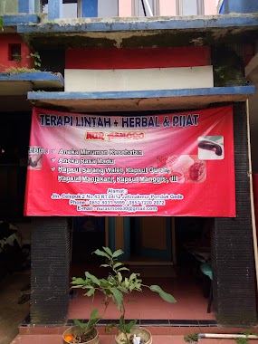 Terapi Lintah & Herbal Nur Asmoro, Author: Muhammad Fahmi Nuur