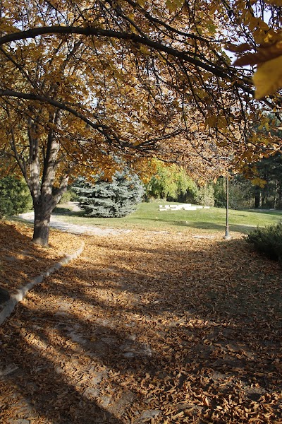 Japanese Garden, Anadolu University