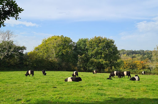 Newnham Way (Cuckoo Trail) Car Park - Thumbnail