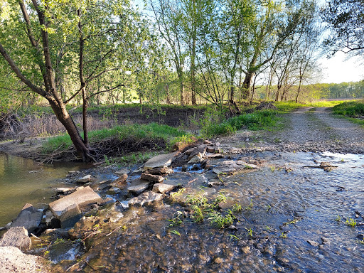 Pechman Creek Delta - Thumbnail
