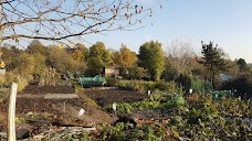 Low Moor Allotments york