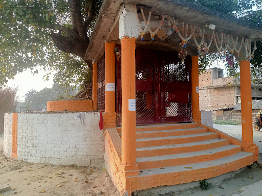 Gallery image 3