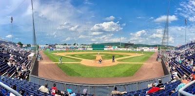 NYSEG Stadium