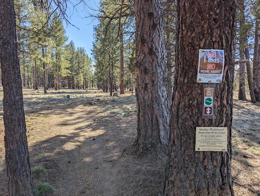 Phil's Trailhead - Visual