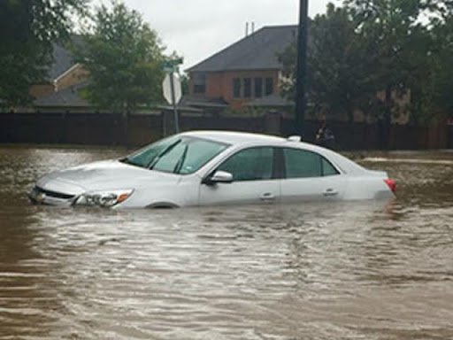 ANY FLOOD LOOS CAR REPAIR & SERVICES post image