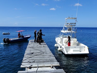 Photos of Aldive Scuba Diving and Water Sports