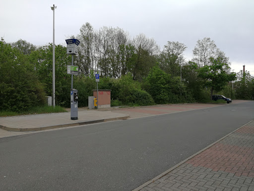 Aurachwiesen - Thumbnail
