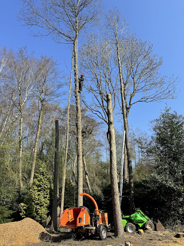 Comments and reviews of Weedons Tree Surgery & Garden Maintenance