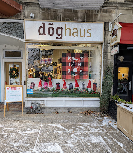 Doghaus - Visual