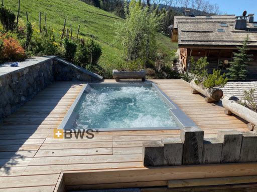 Photo de Spa inox BWS à Gaillard (74240)