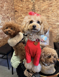 VIVI 阪神尼崎 カフェ