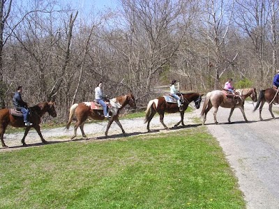 Guided Trail Rides LLC