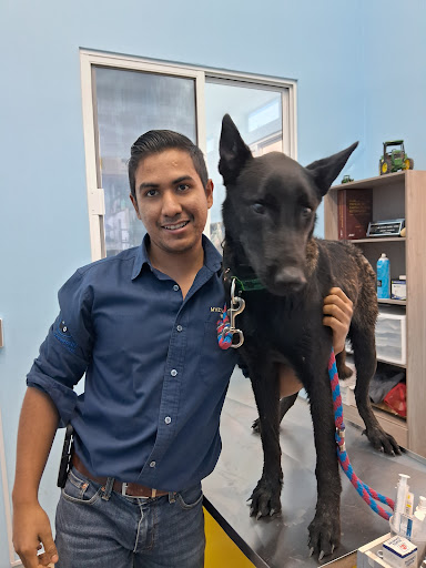 Pet's-Clinic Clínica Veterinaria