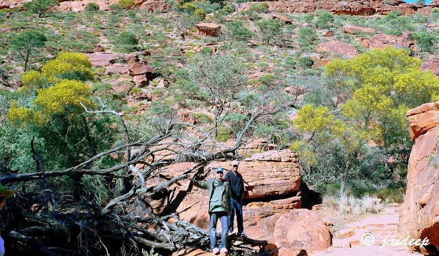 Kings Canyon