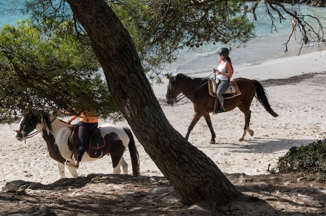 Cala en Turqueta