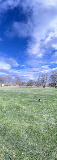 Poppleton Park - Visual