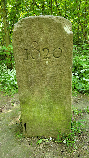 Lichtenauer Rheinniederung - Thumbnail