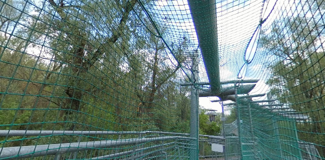 Értékelések erről a helyről: Lombkorona Sétány, Makó - Parkoló