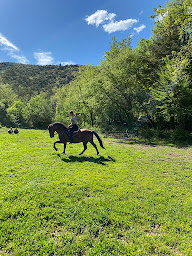 Photo n°11 de Ranch des Baous à Tourrettes-sur-Loup (Centre de randonnée équestre)