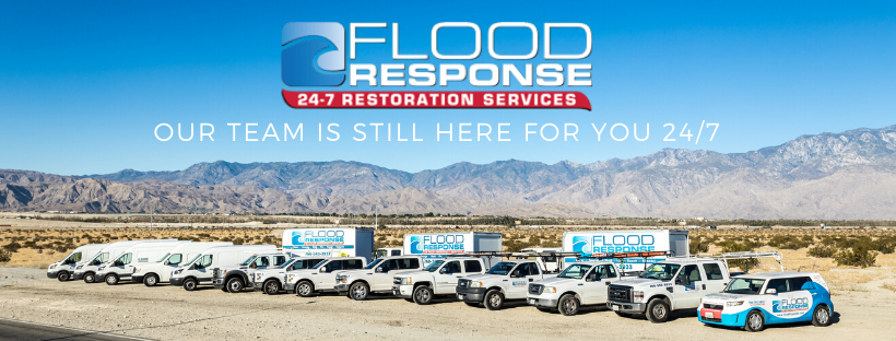 Flood Response Restoration Services photo